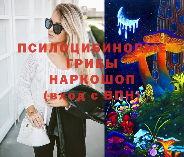 сатива Армянск
