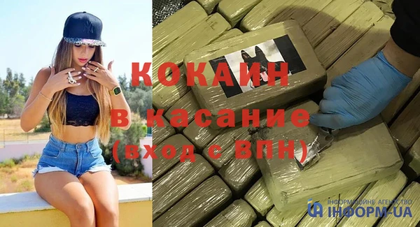 сатива Армянск