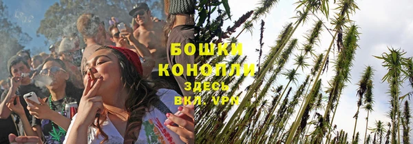 сатива Армянск