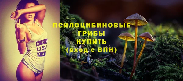 mdpv Арсеньев